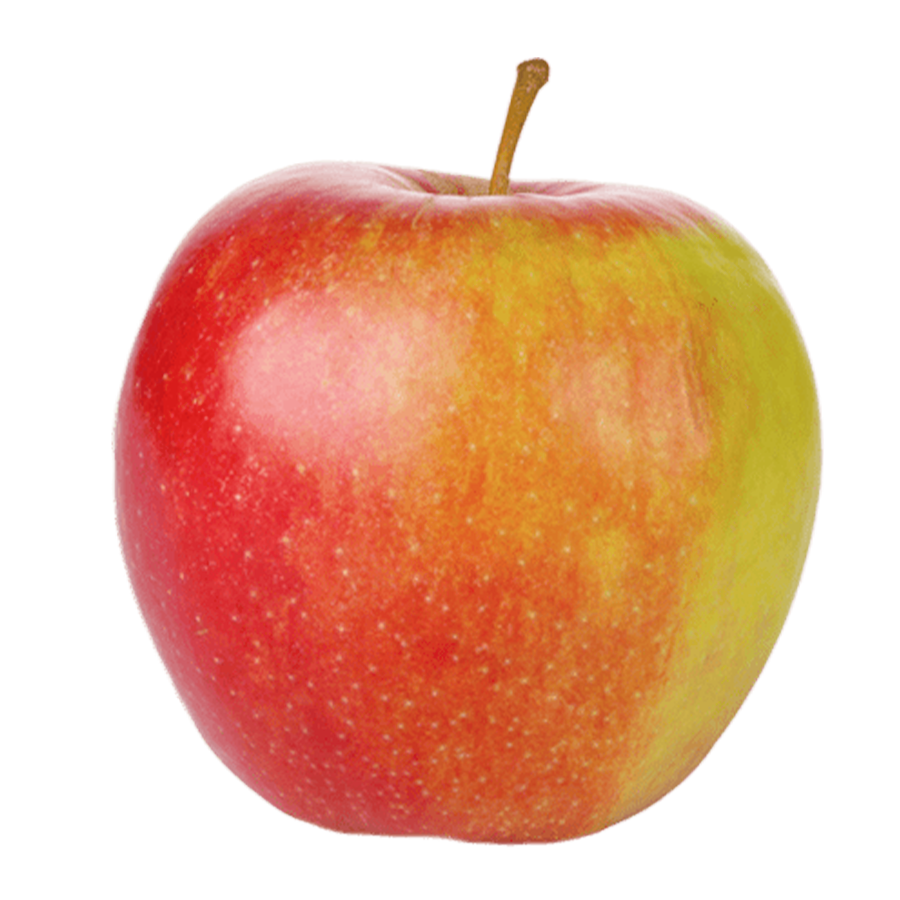 Apple Braeburn Janagold