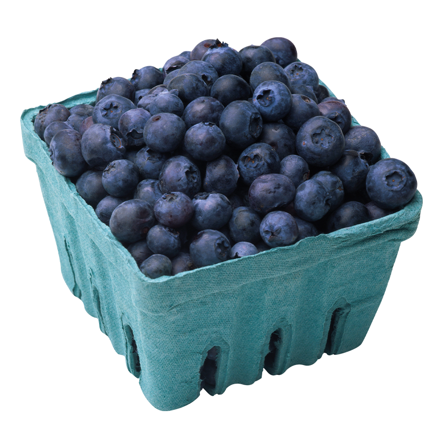 Blueberry Pack