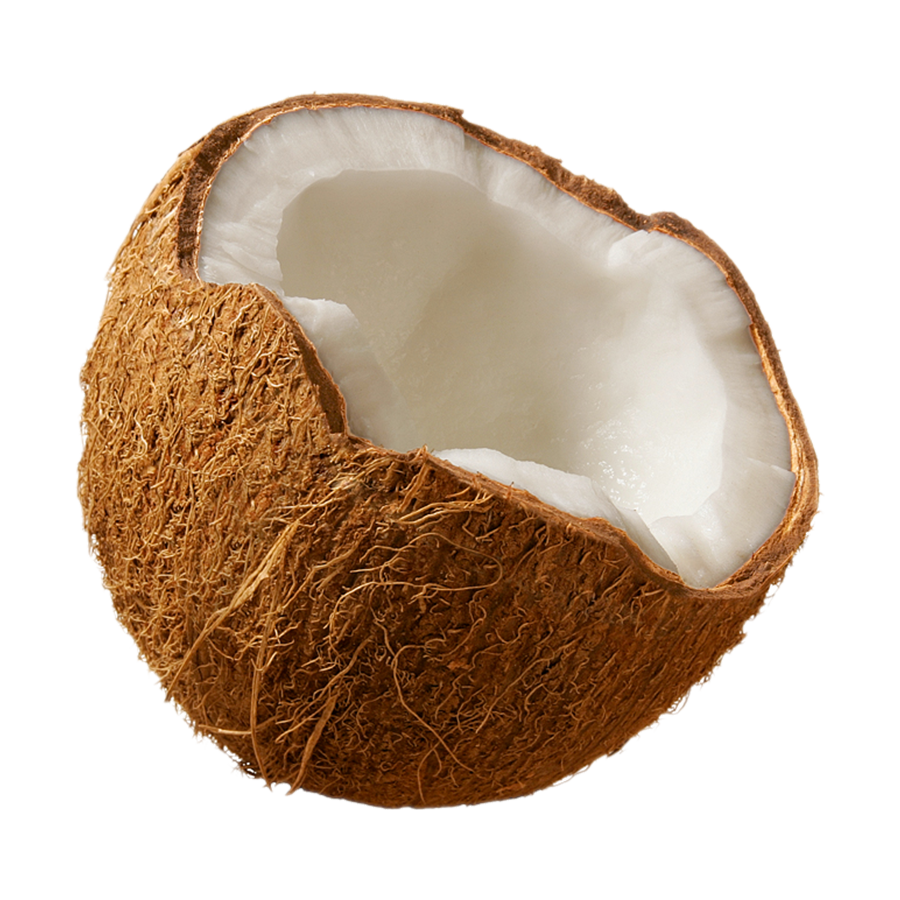 Coconut