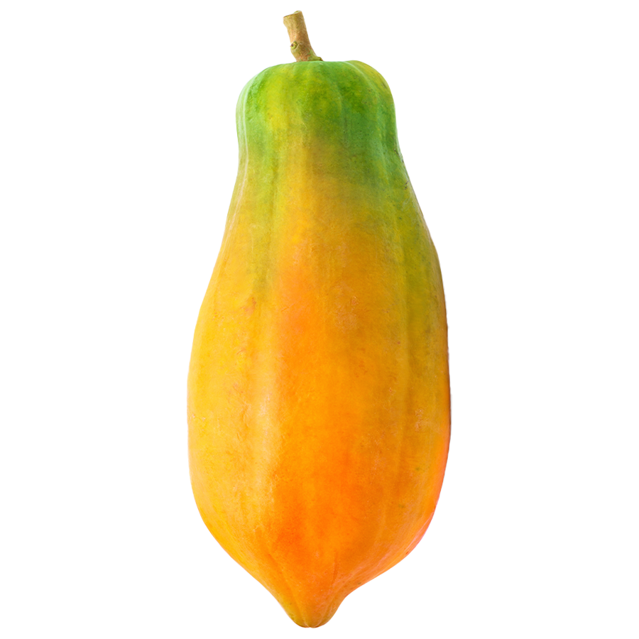 Papaya Big