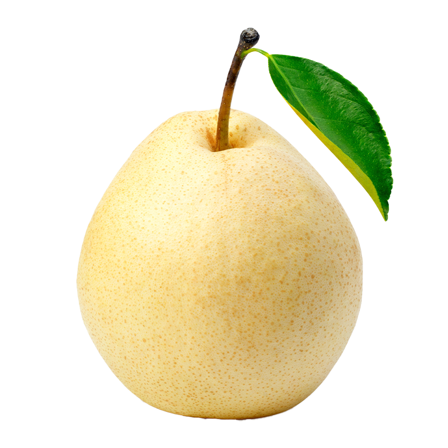 Pear Chinese