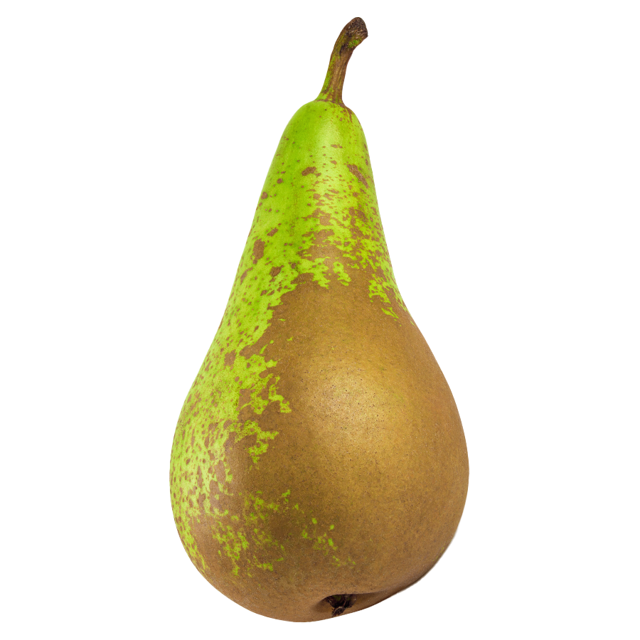 Pear Conference