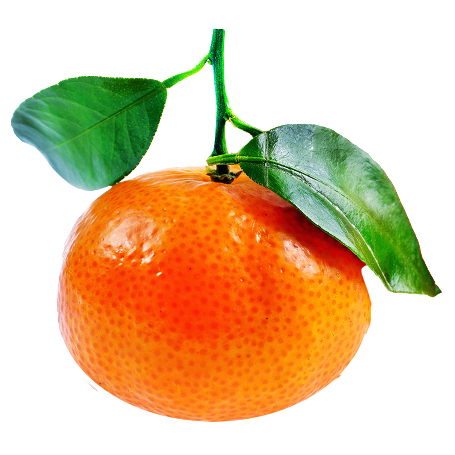 Satsuma