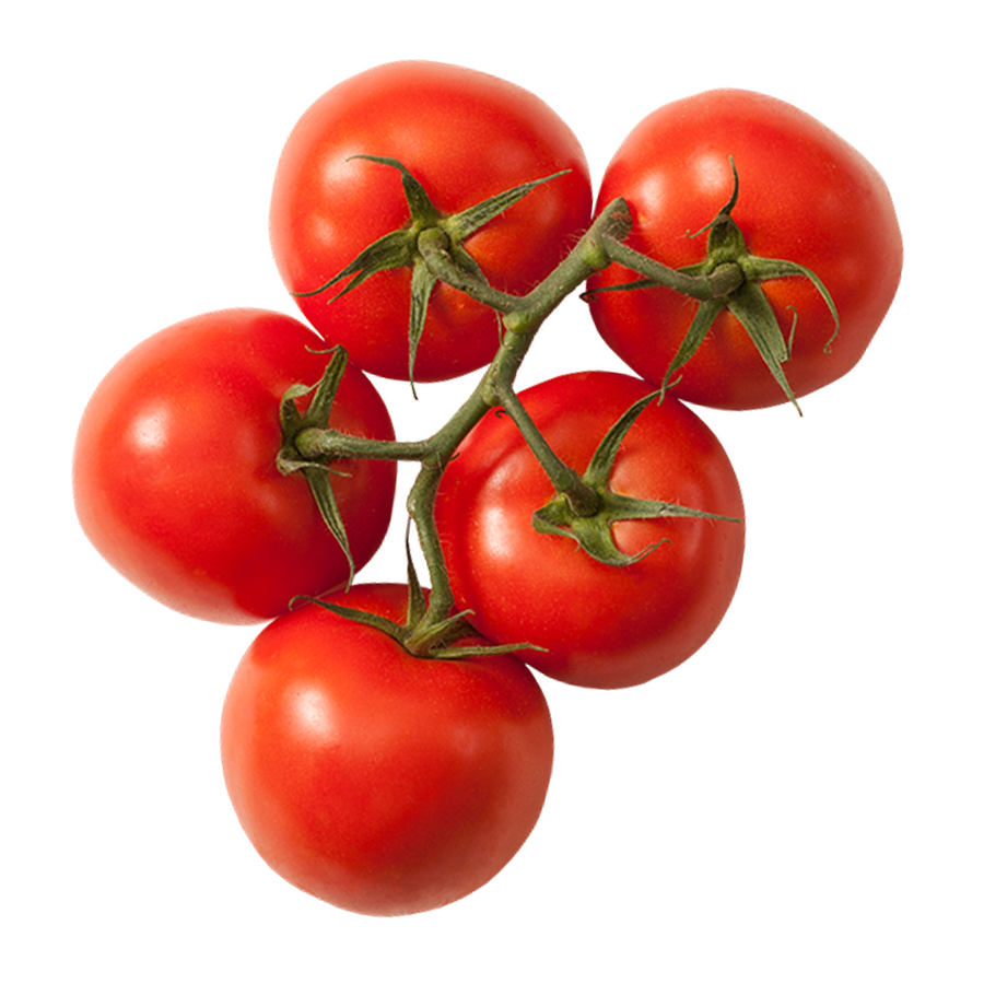 Tomatoes Vine