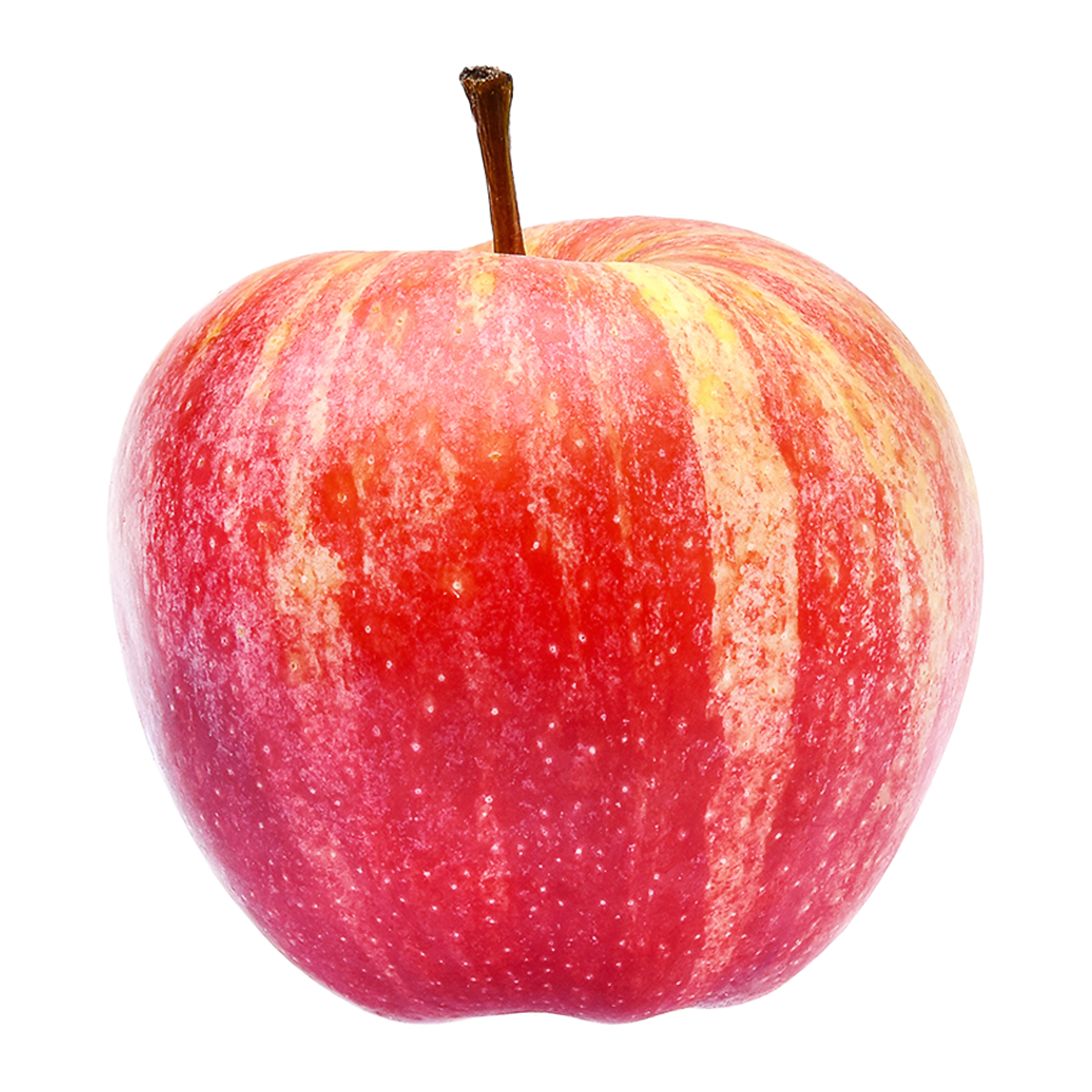 Apple Royal Gala