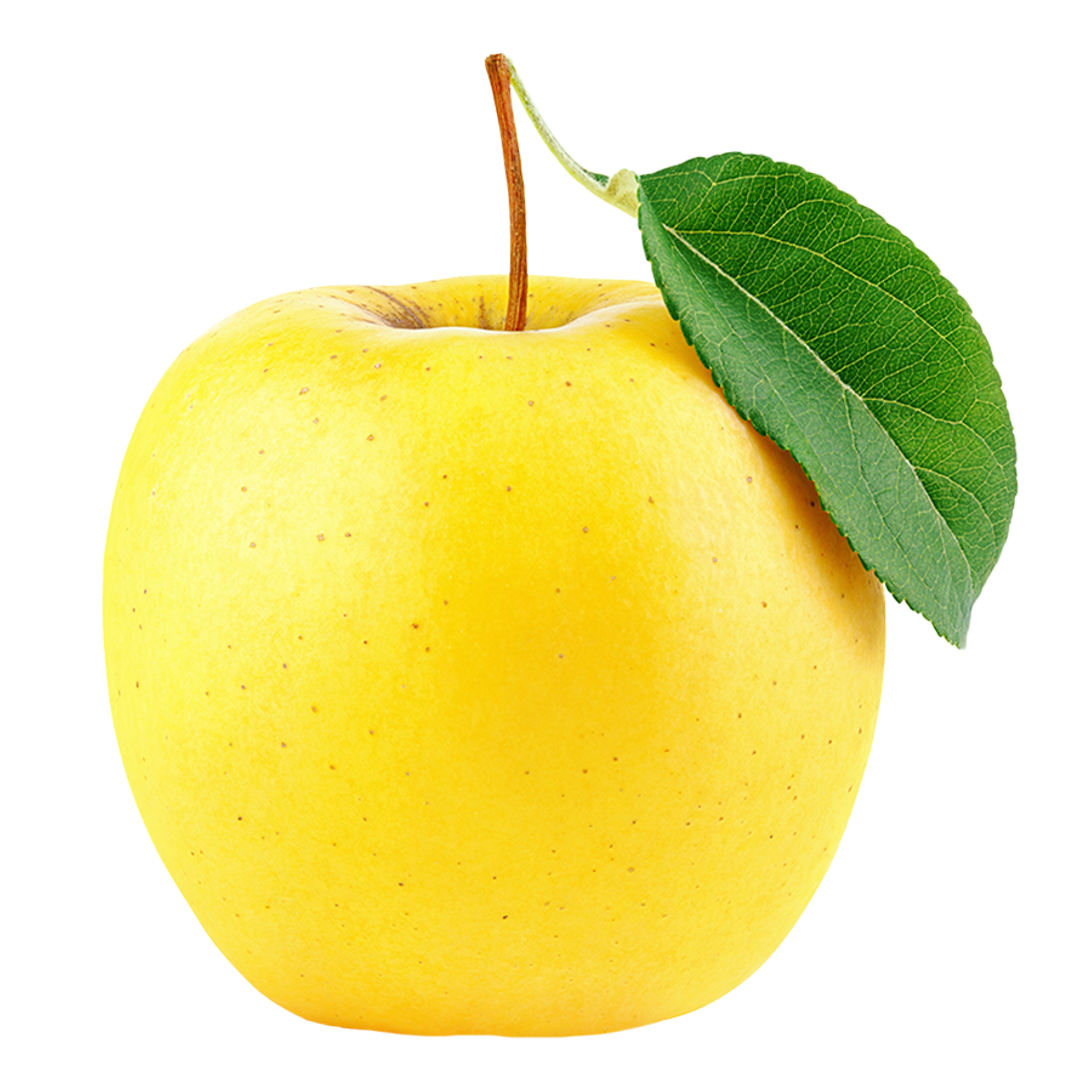 Apple Yellow Golden