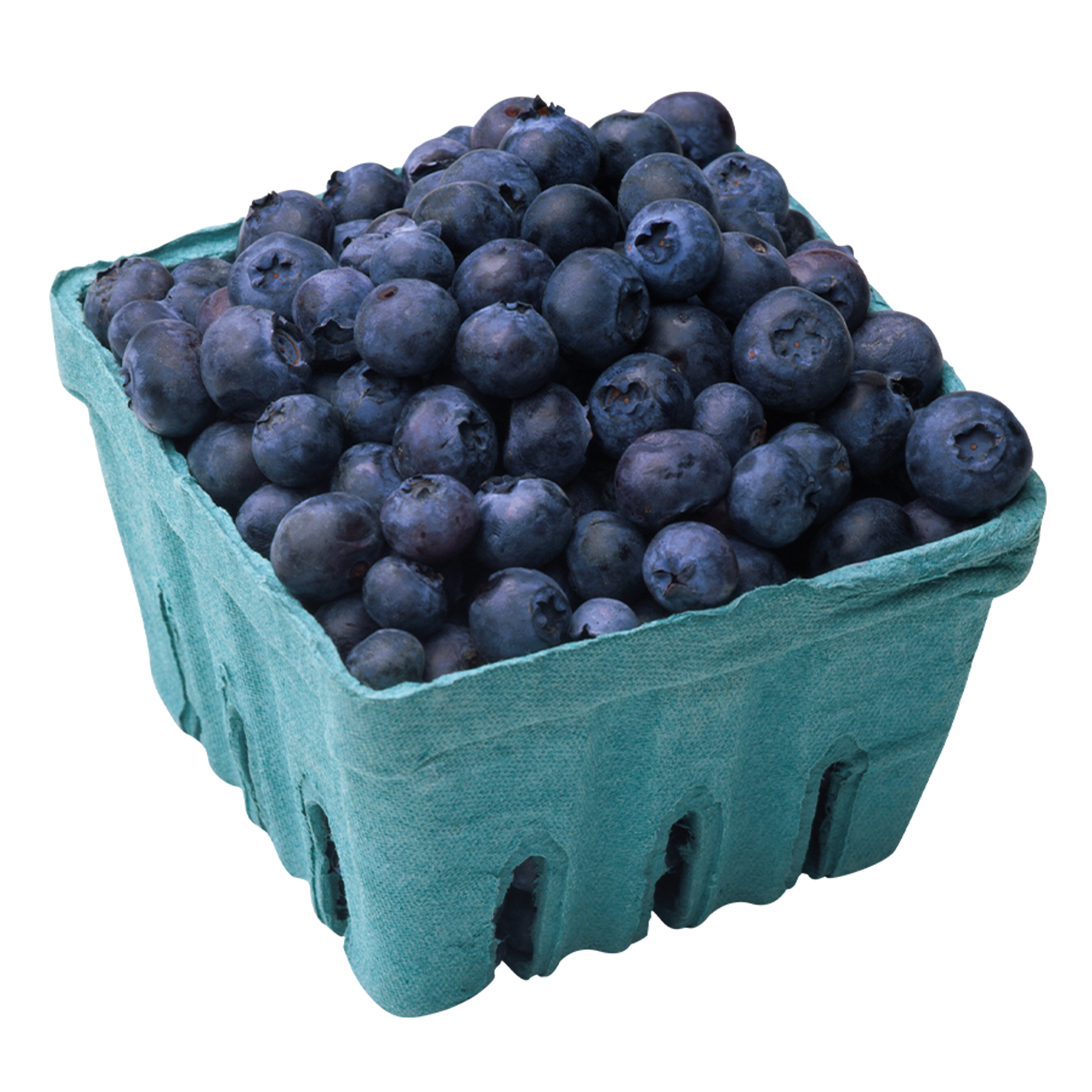 Blueberry Pack