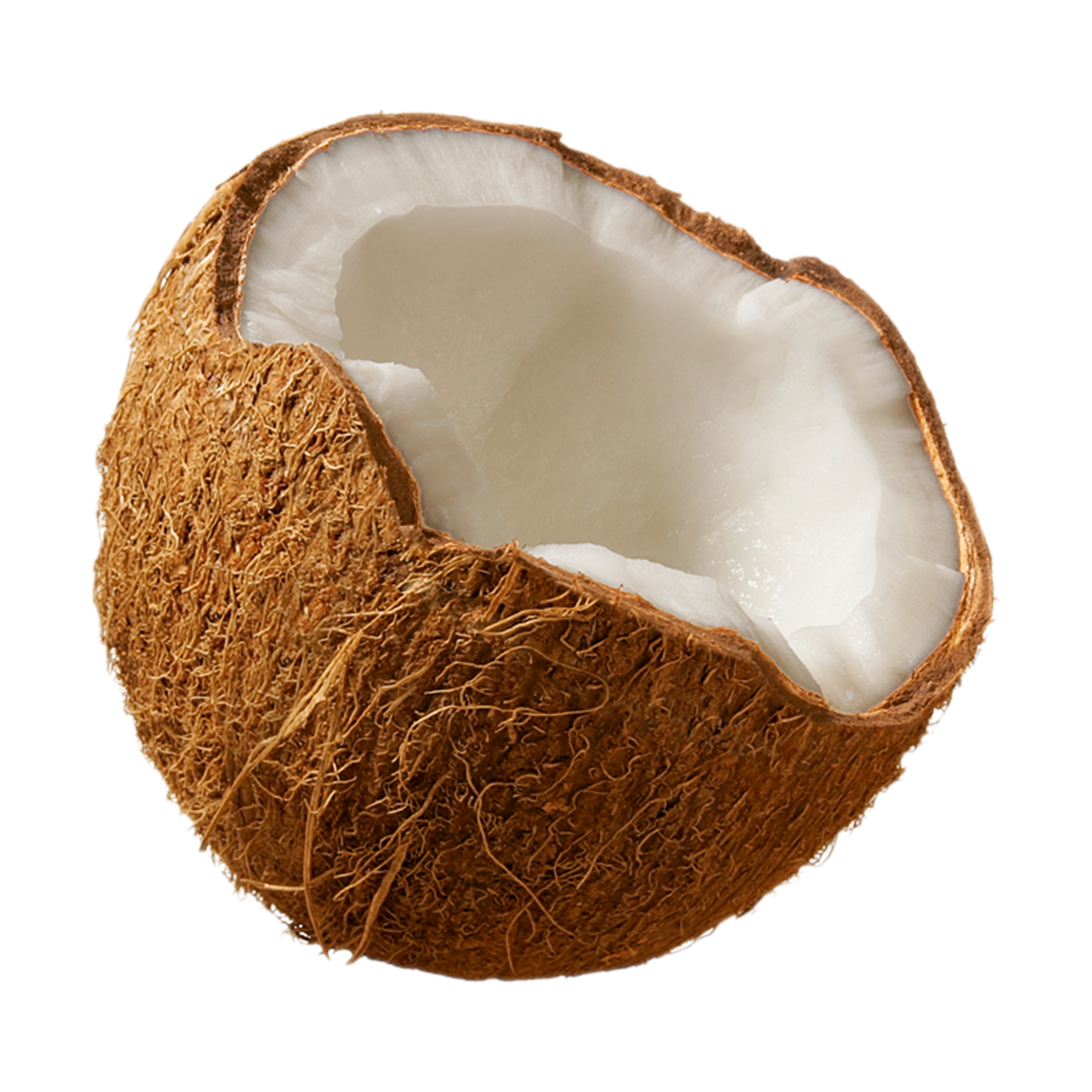 Coconut