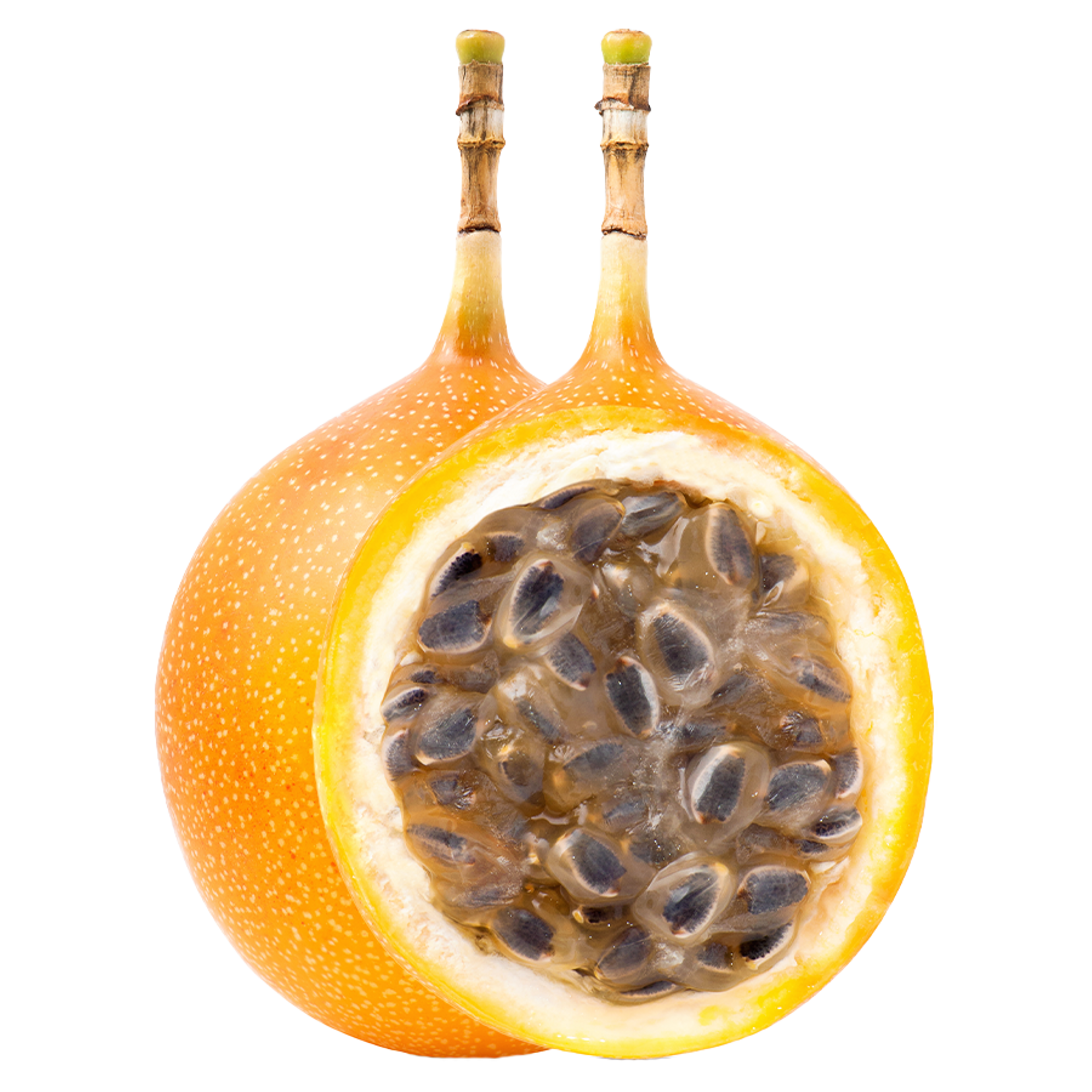 Granadilla Qty