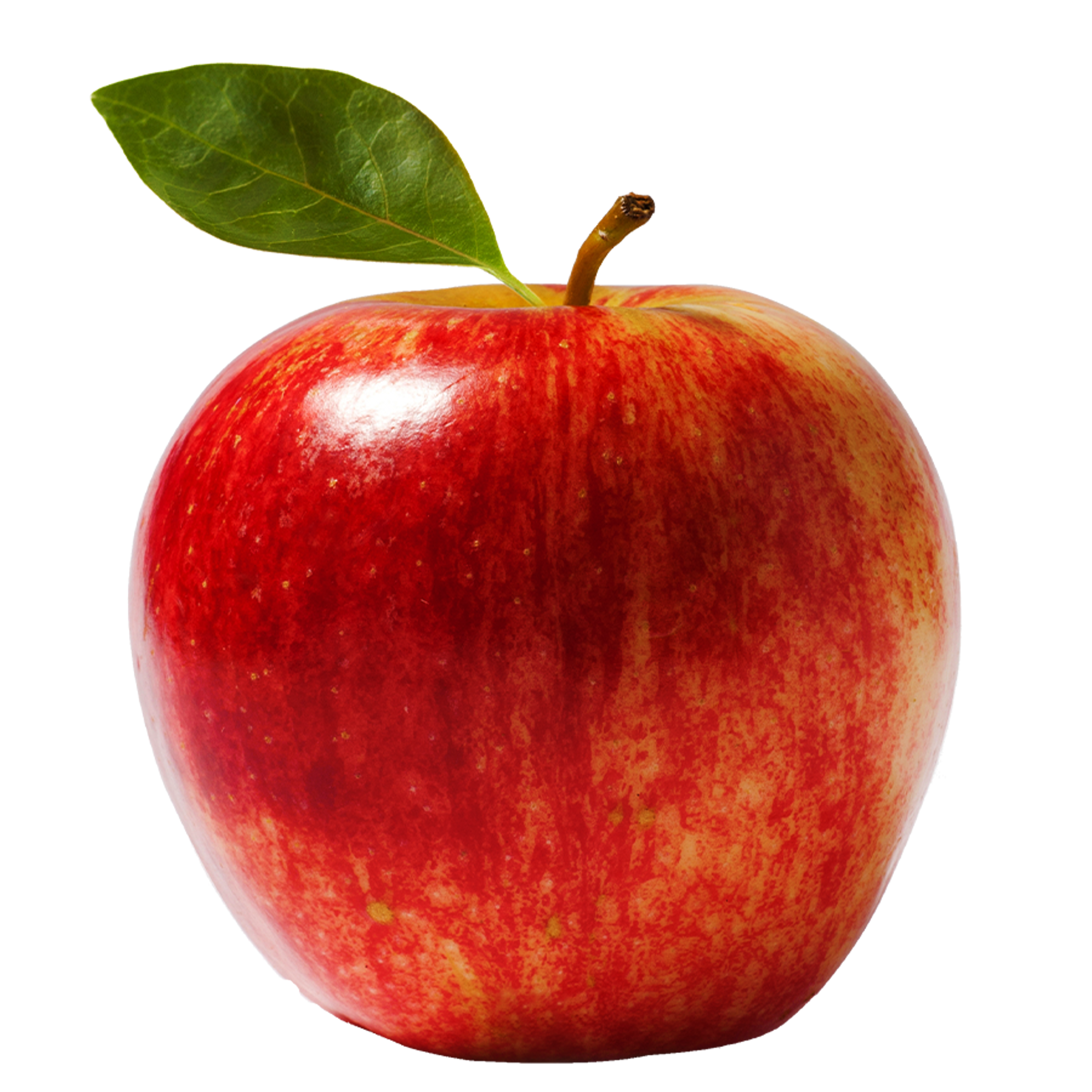 Apple Red Chief