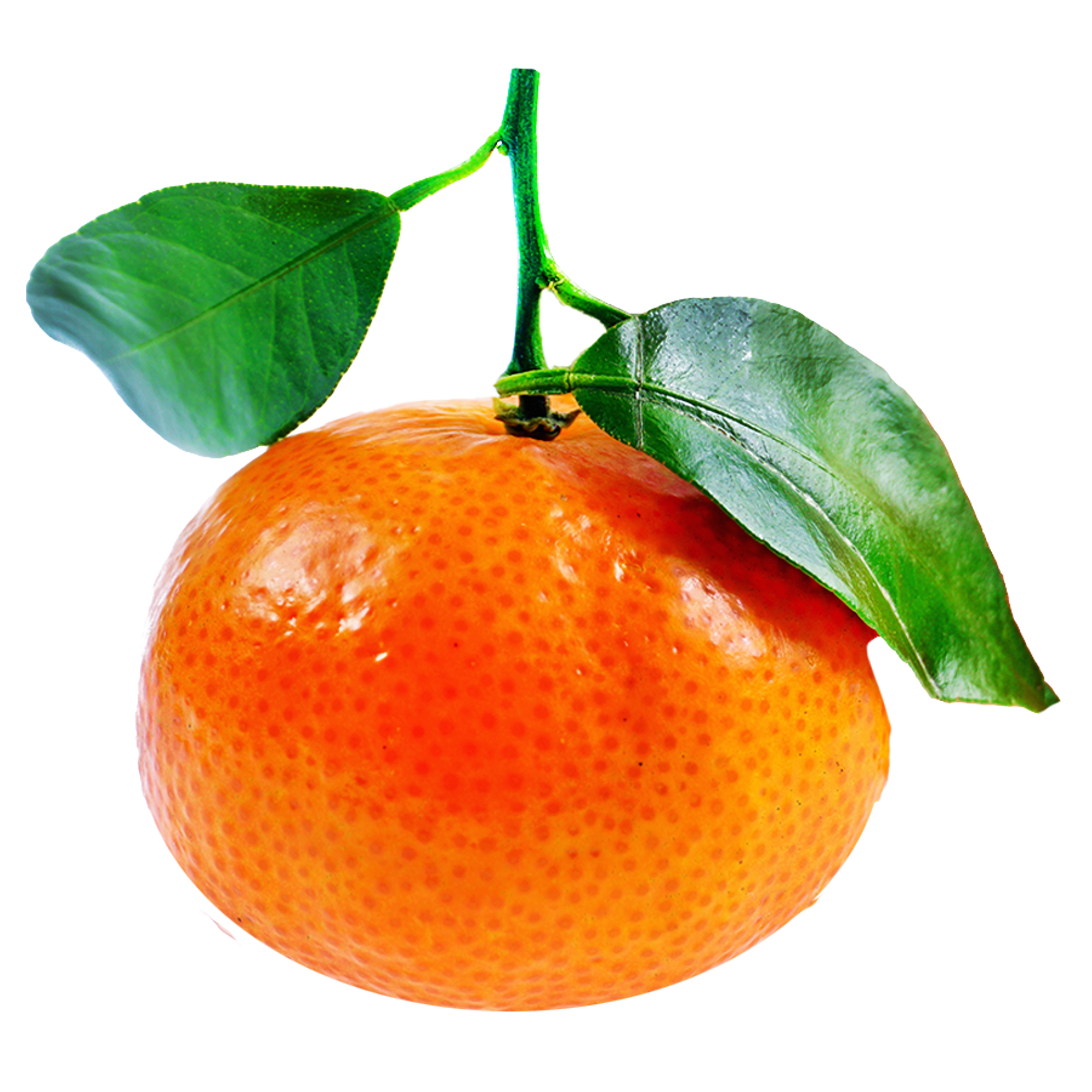 Satsuma