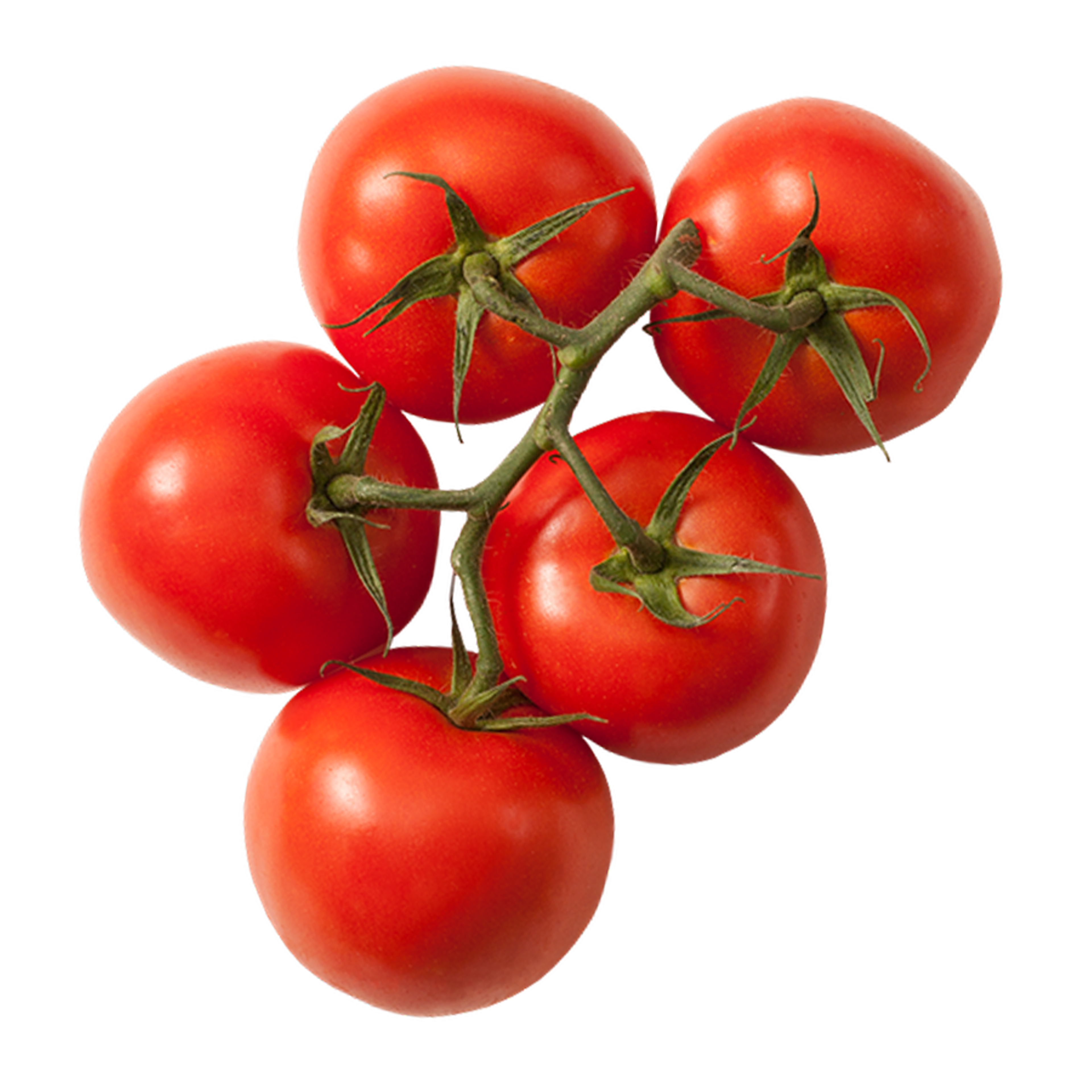 Tomatoes Vine