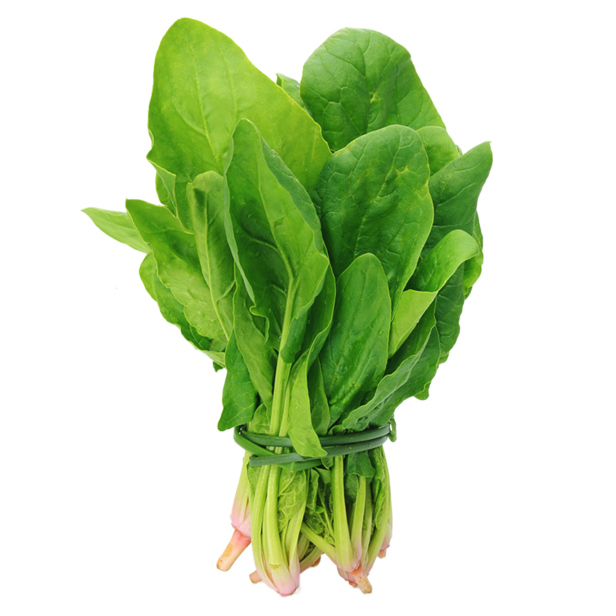 Spinach Image