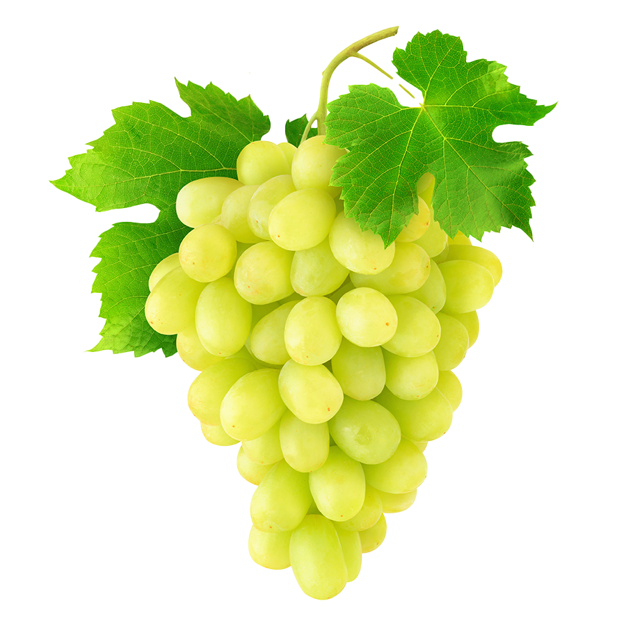 Grape Sultana Image