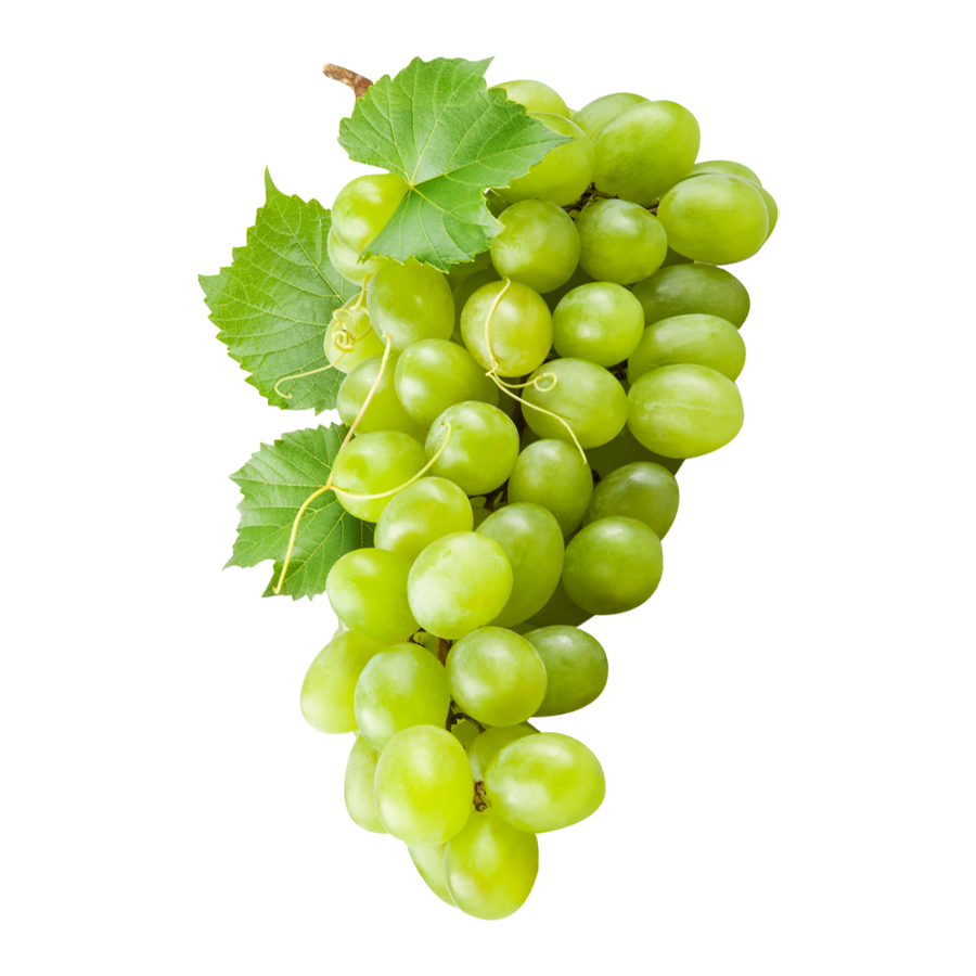 Grape White Image