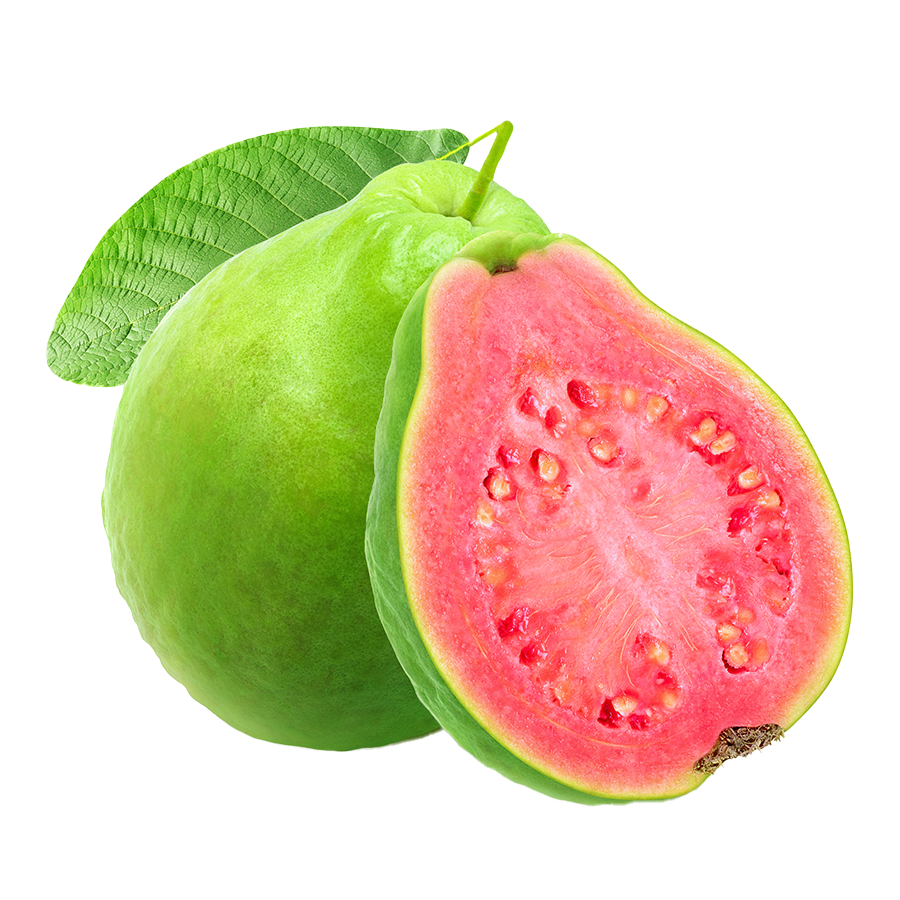 Guava Image