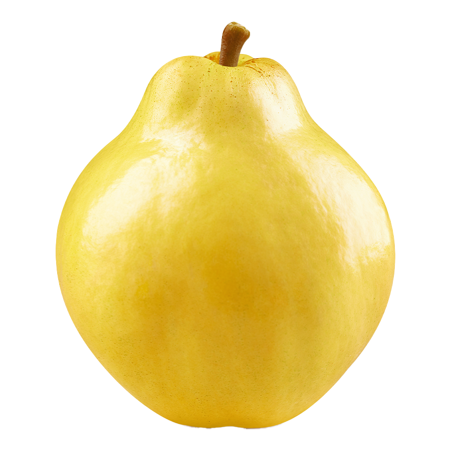 Quince Image