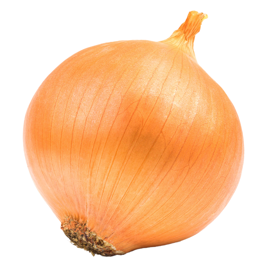 Onion White Image