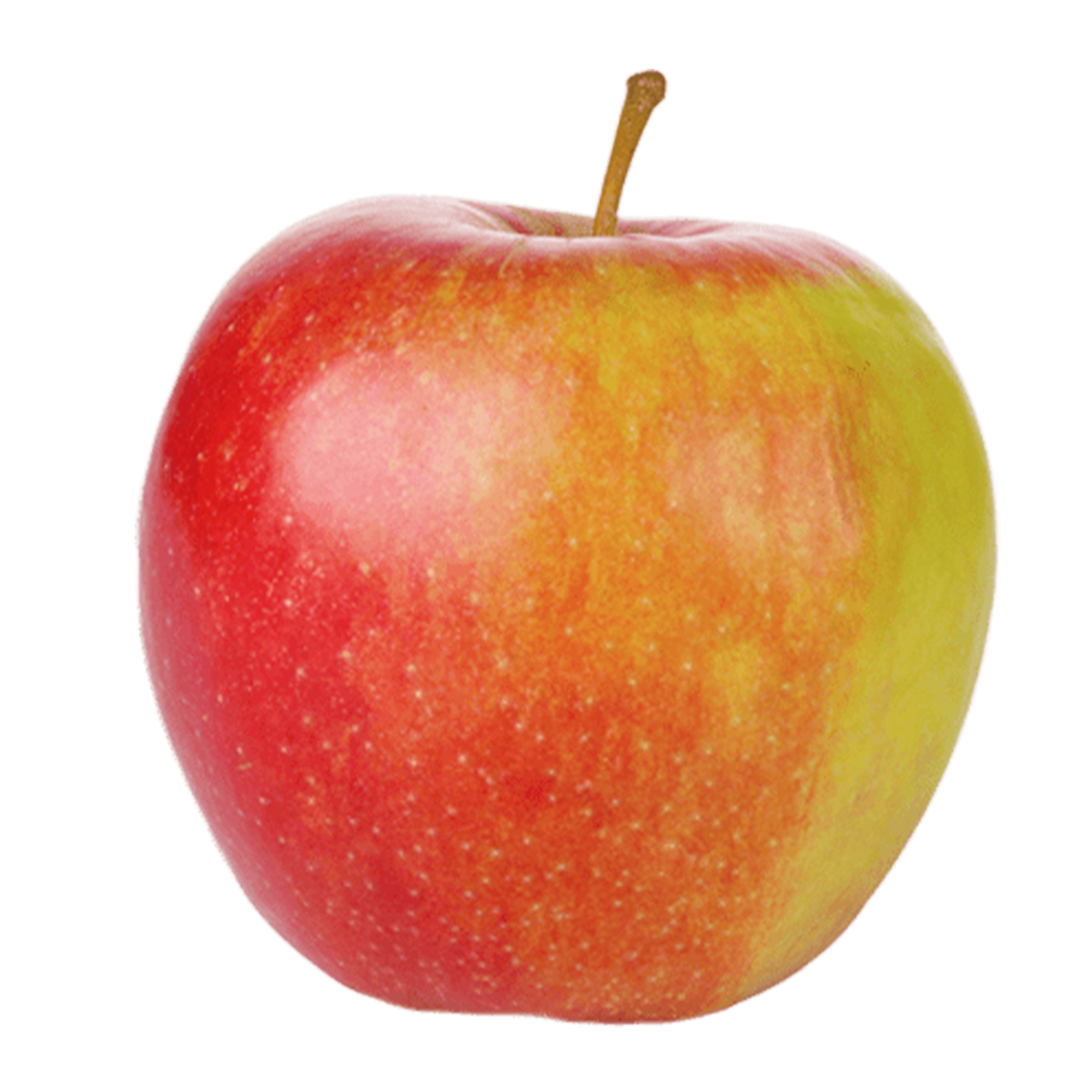 Apple Braeburn Janagold Image