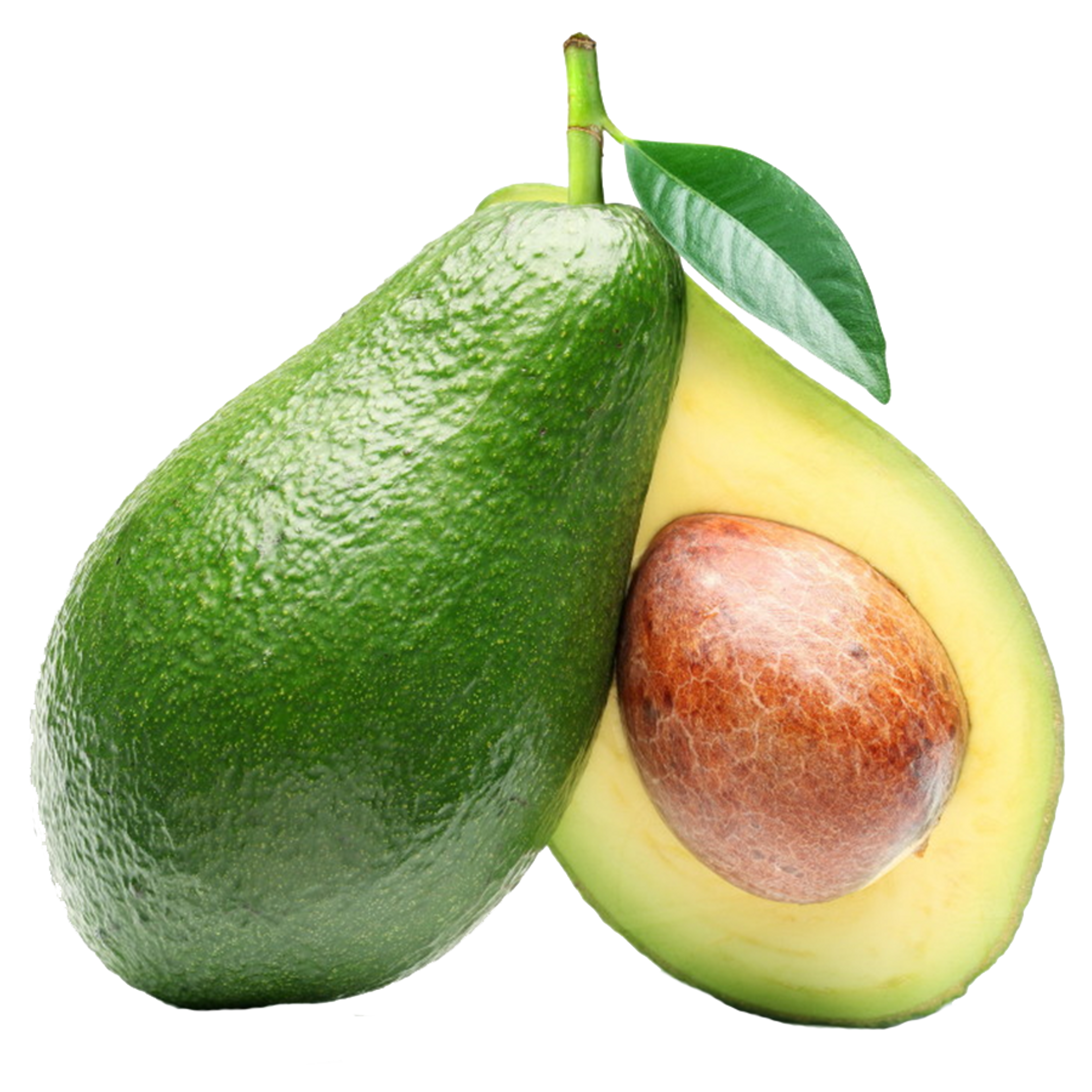 Avocado Image