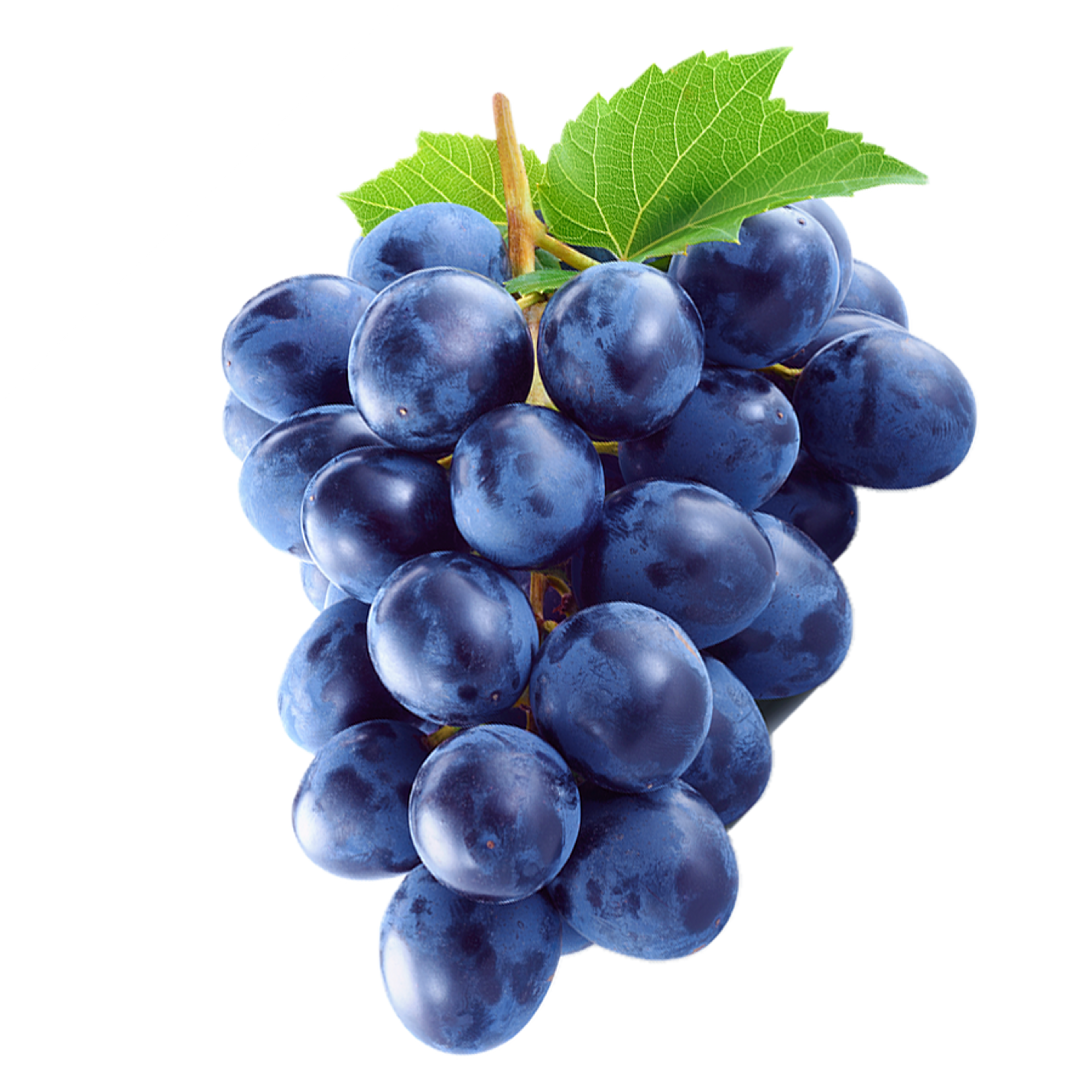 Grape Black Image