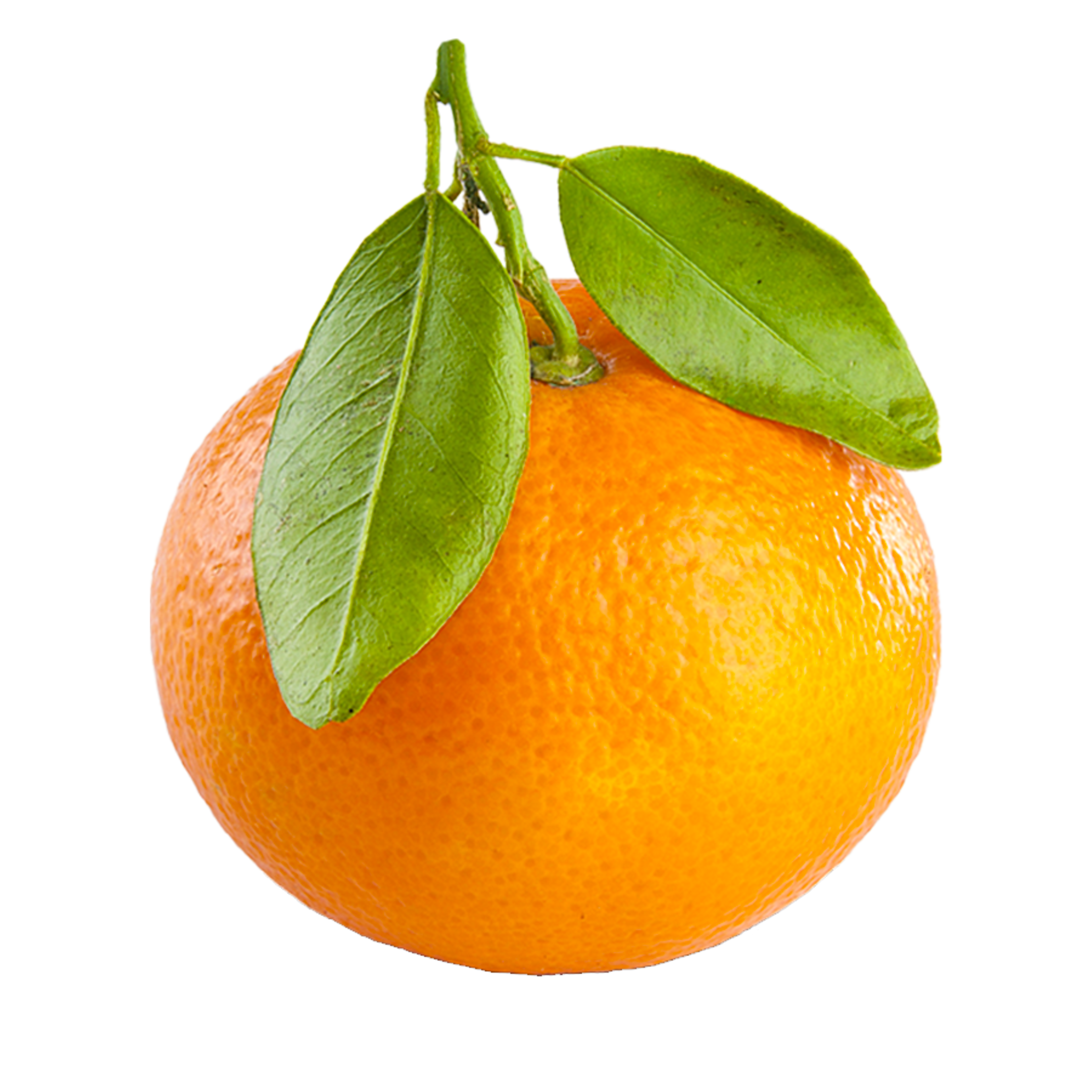 Clementines Image