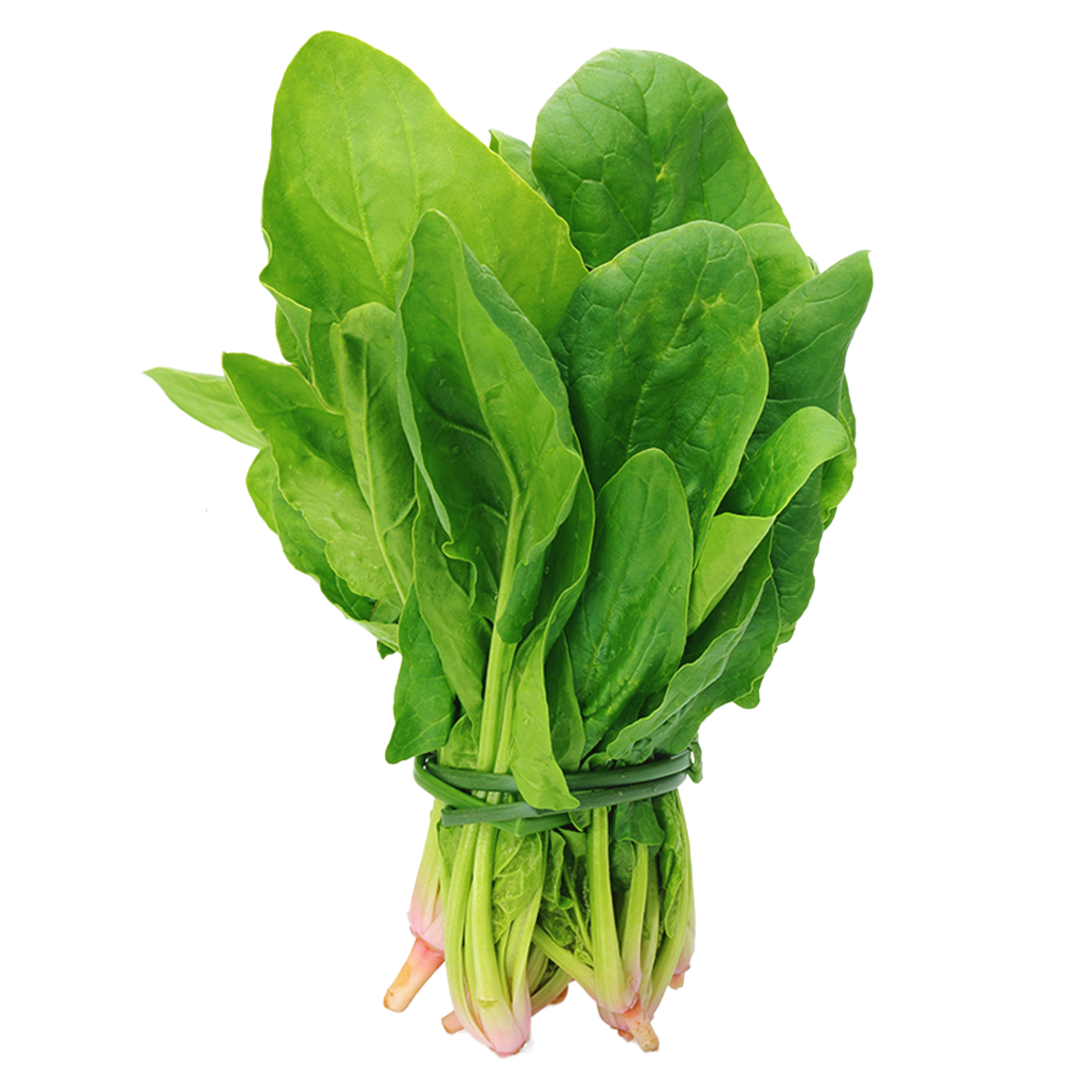 Spinach Image