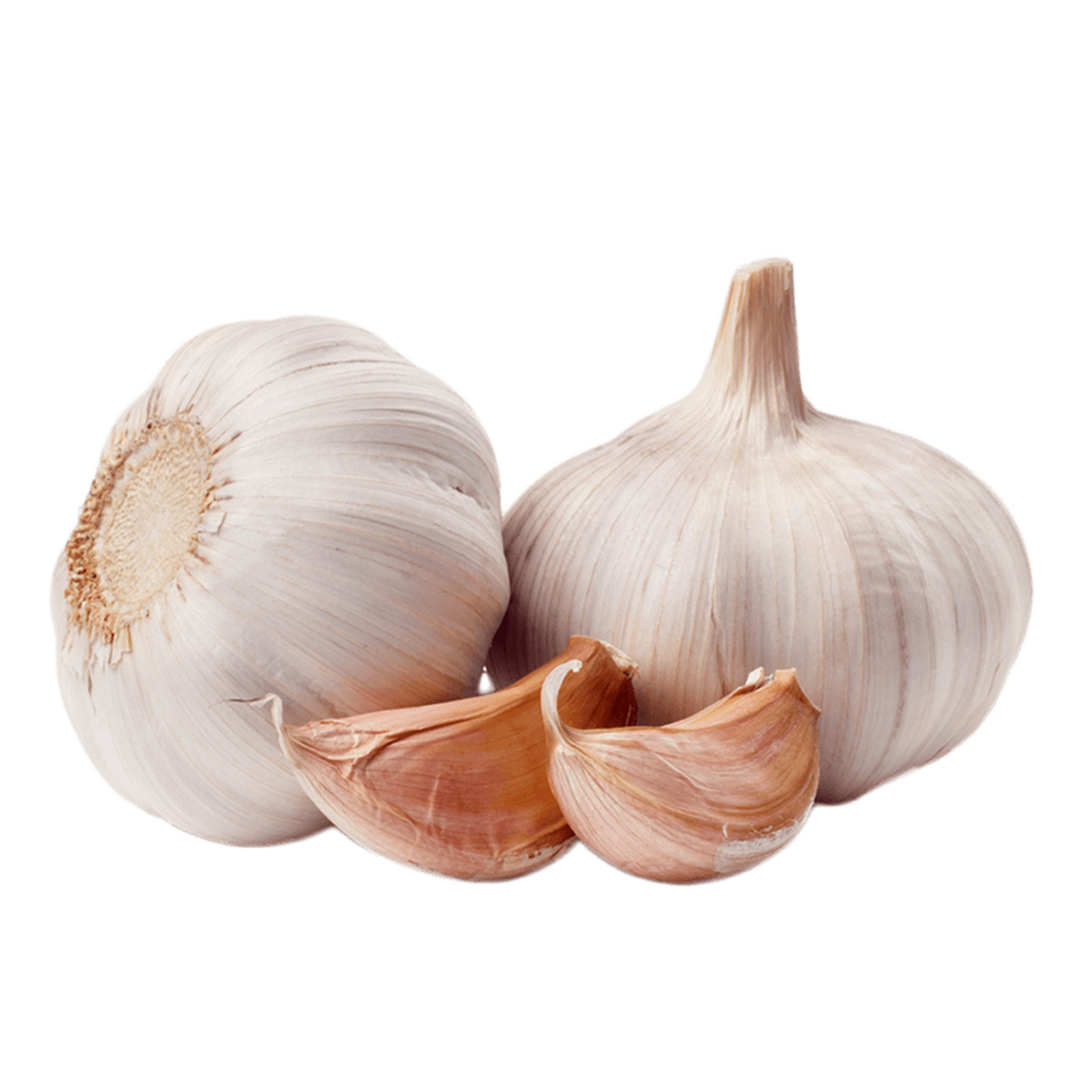 Garlic Loose Image