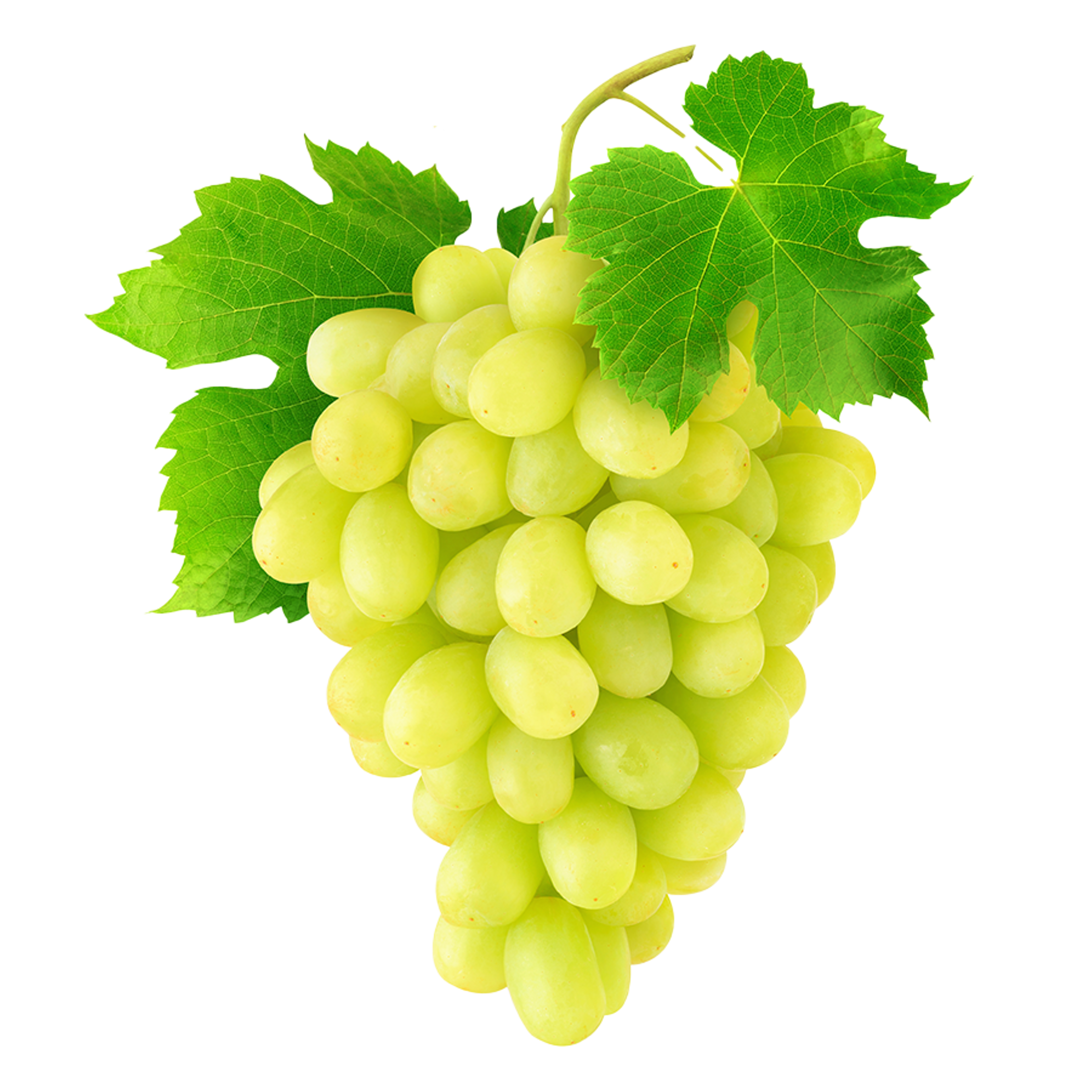 Grape Sultana Image