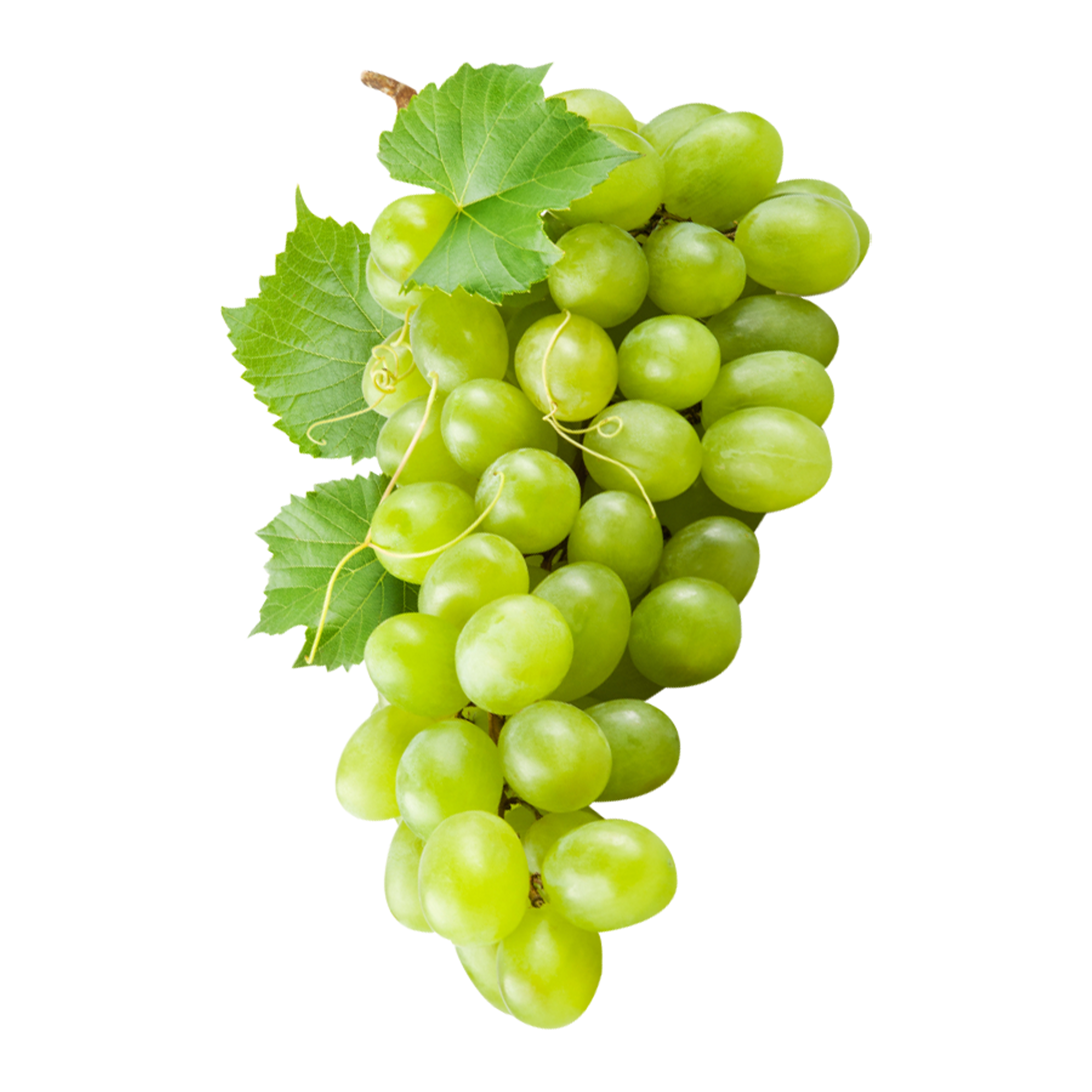 Grape White Image