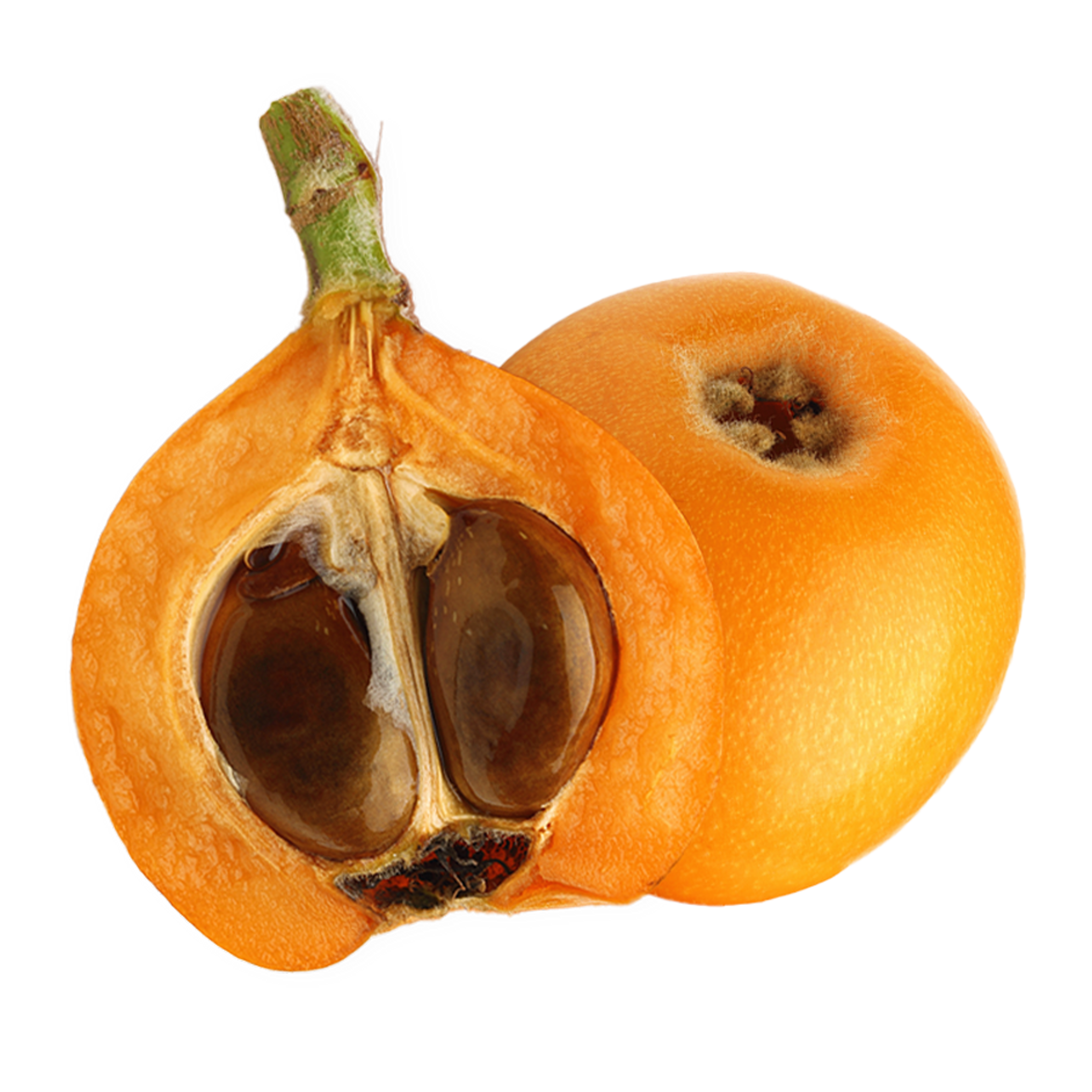 Medlar Image