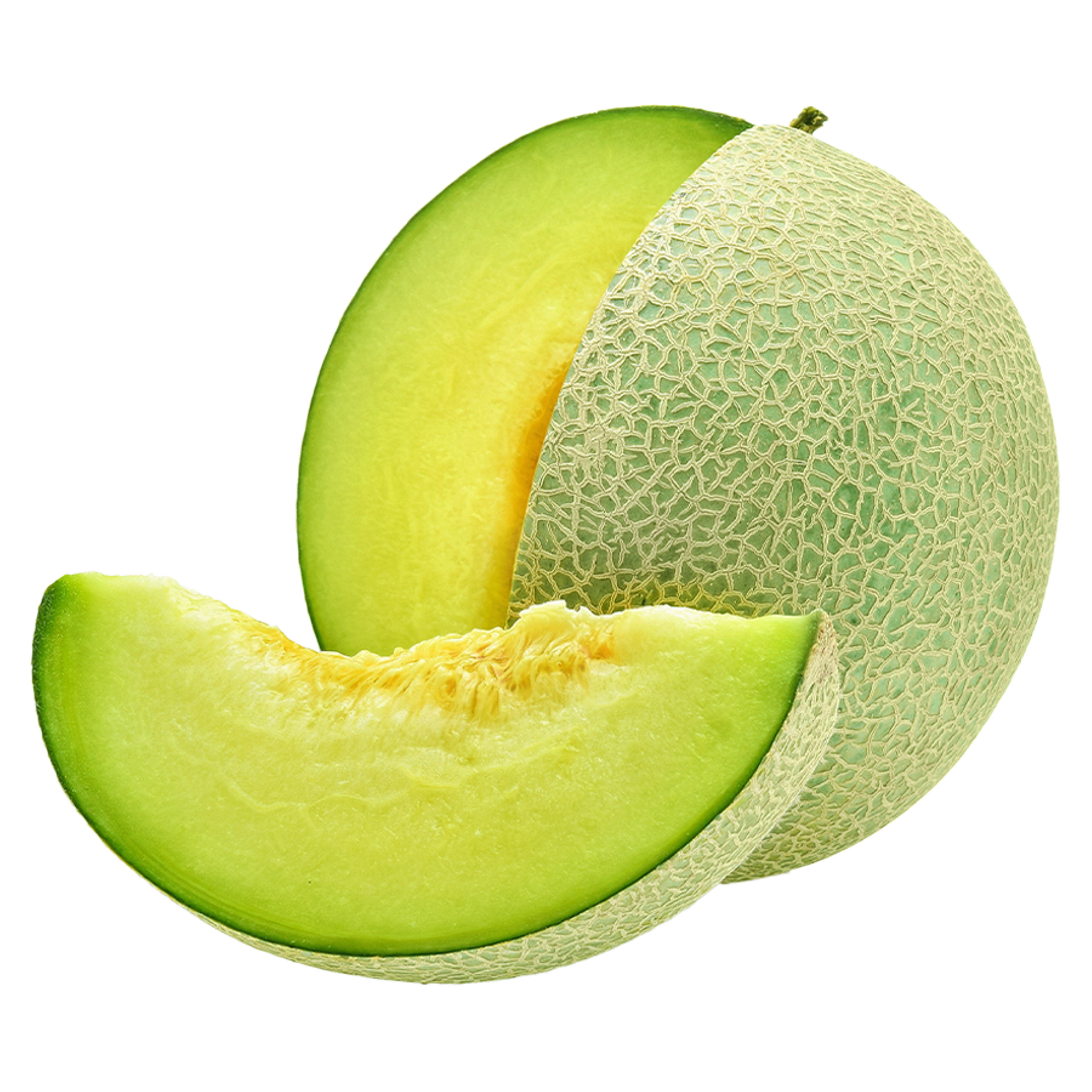 Melon Galia Image