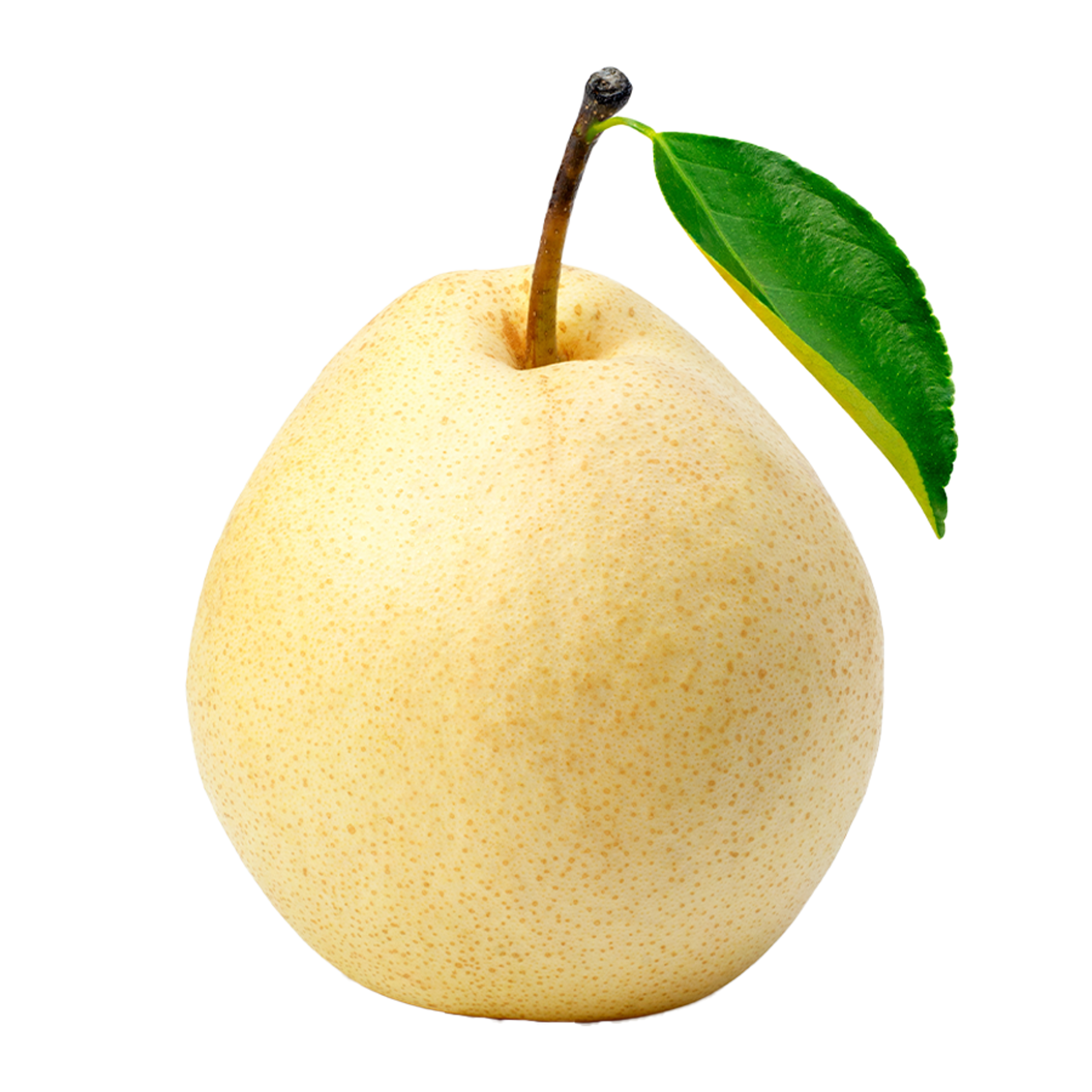 Pear Chinese Image