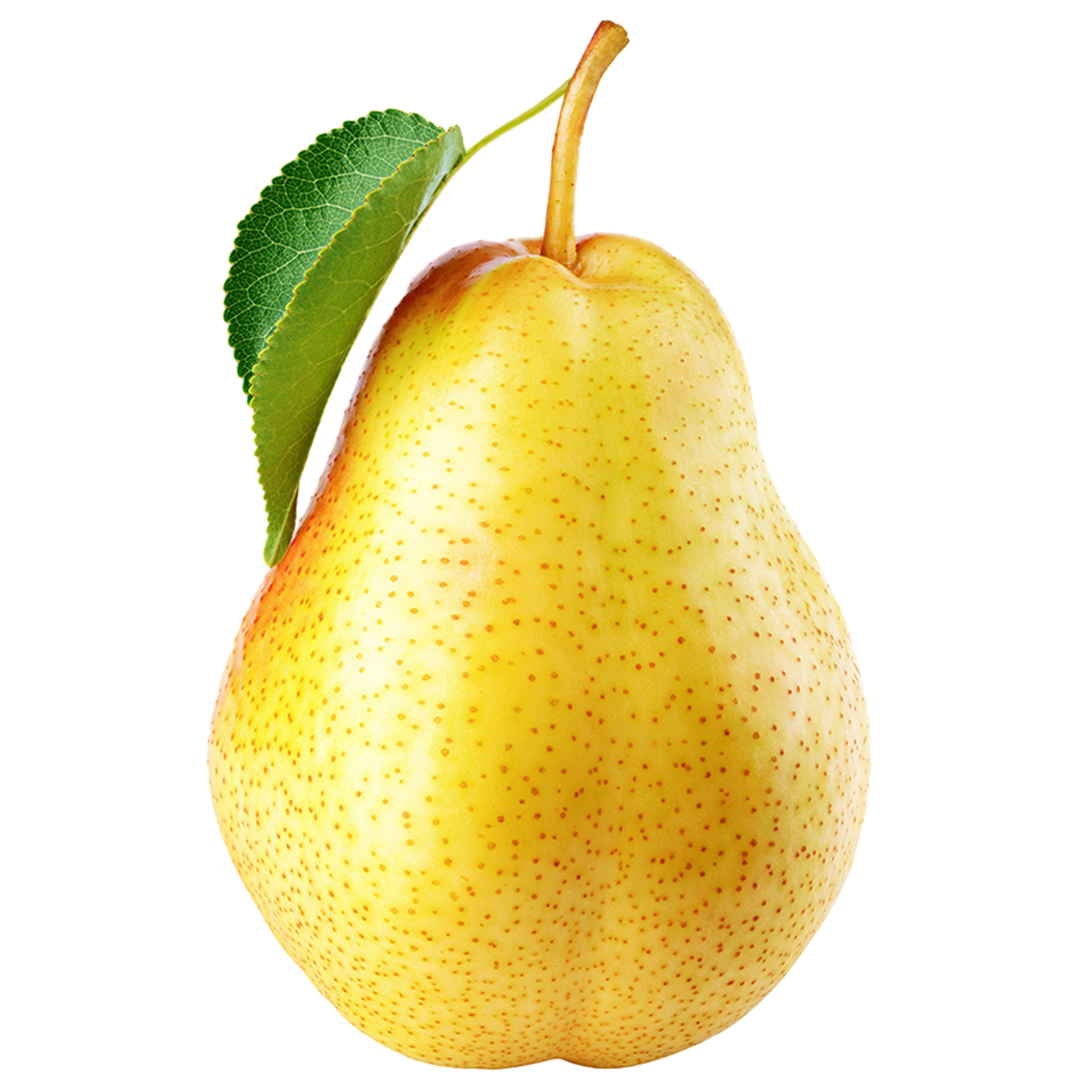 Pear Williams Image