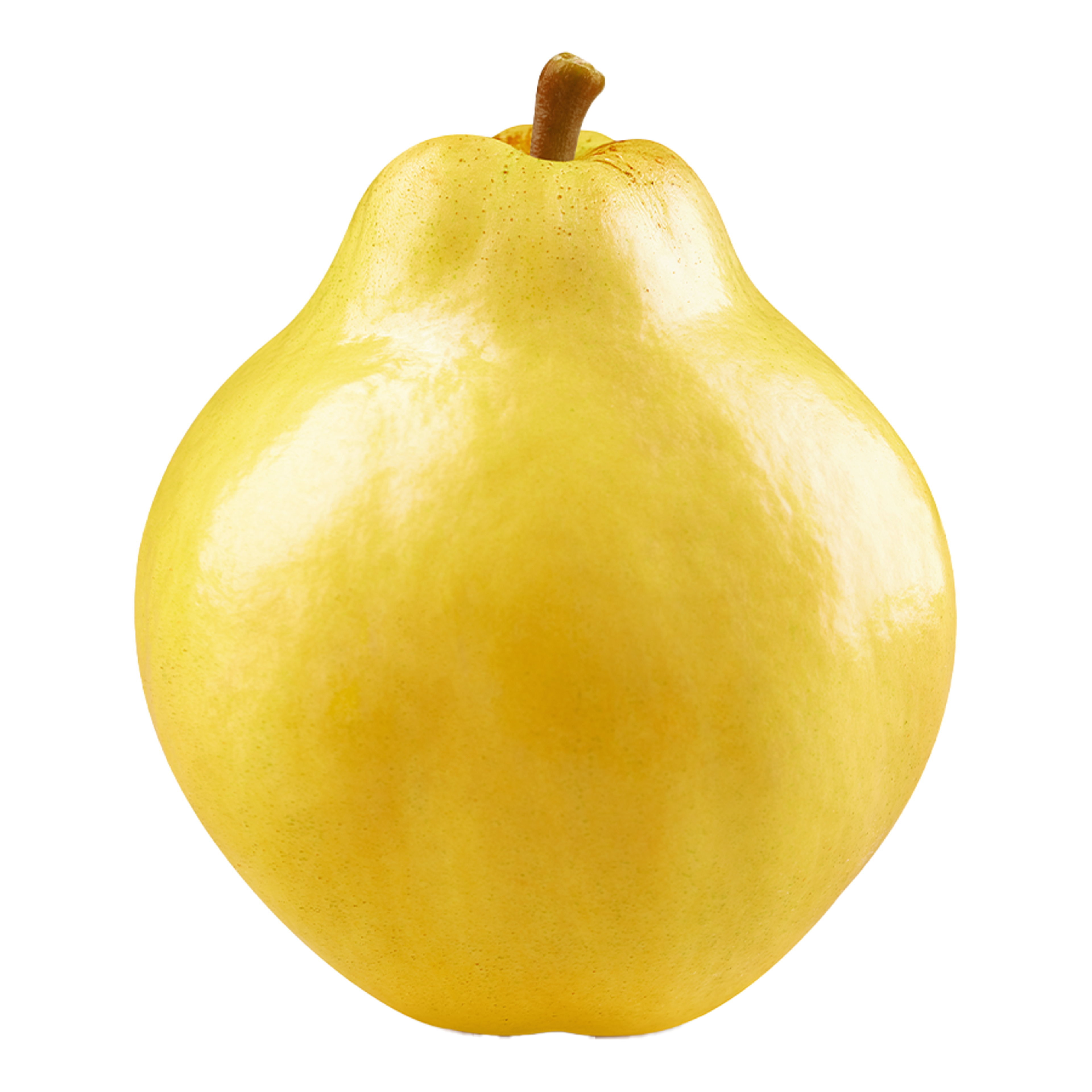 Quince Image