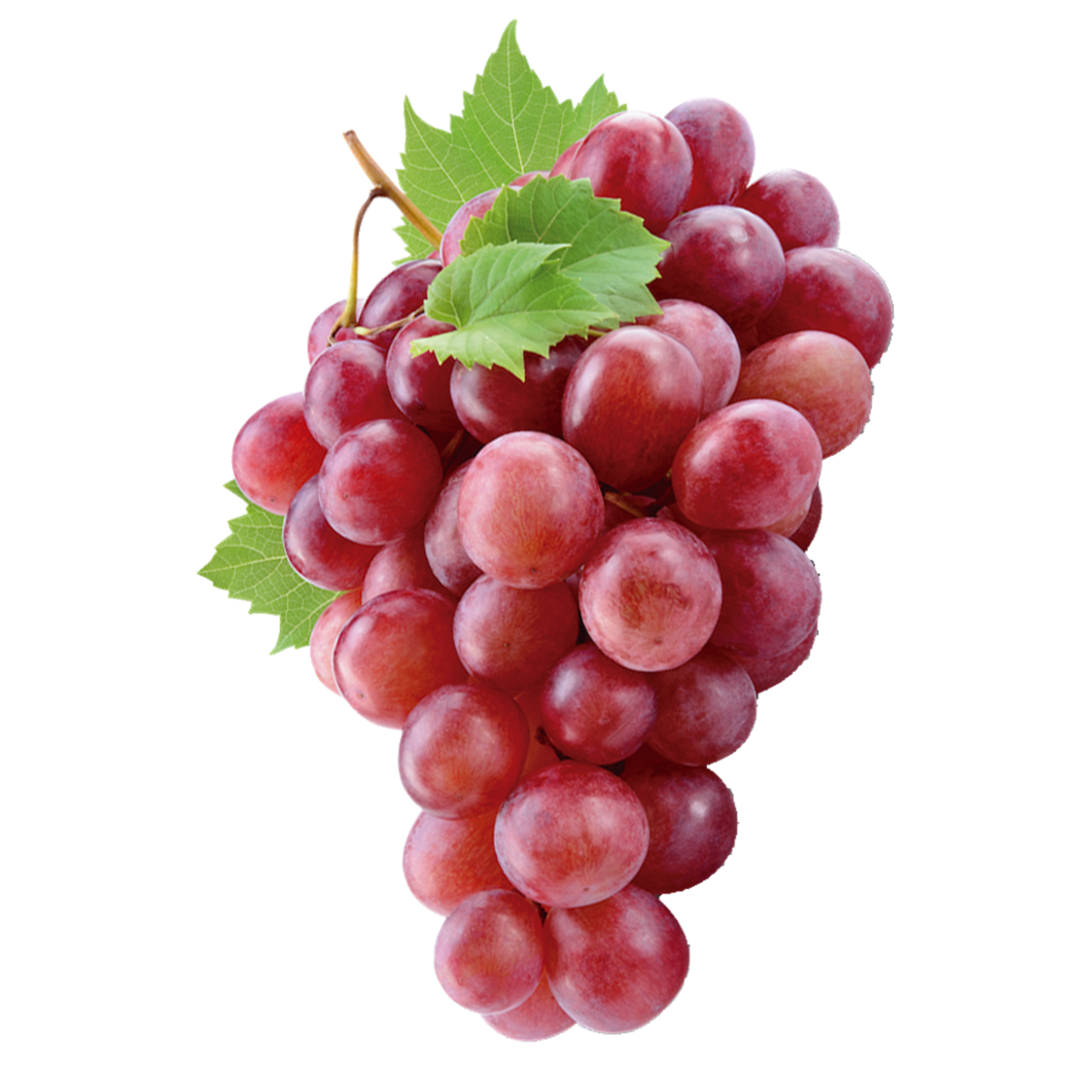 Grape Red Image